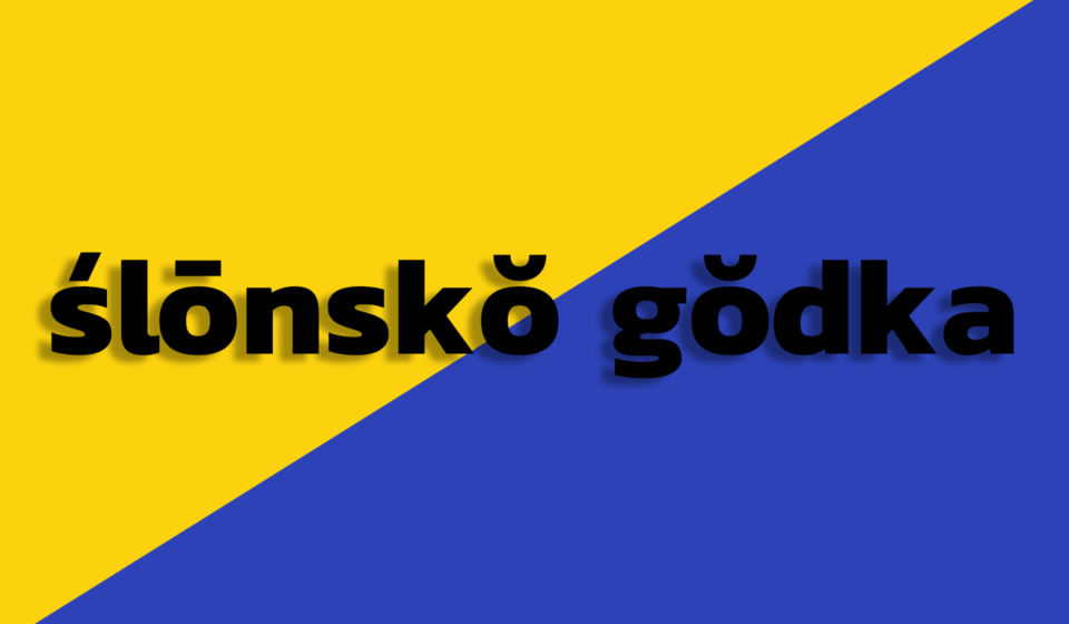 Ślonsko godka